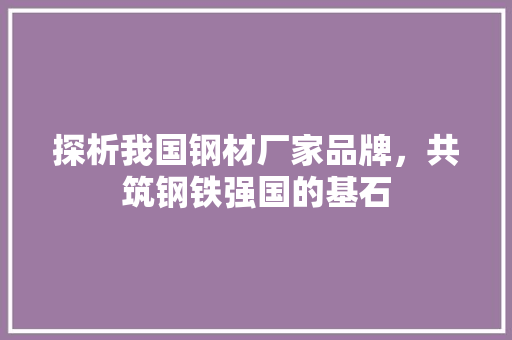 探析我国钢材厂家品牌，共筑钢铁强国的基石