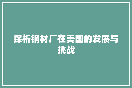 探析钢材厂在美国的发展与挑战