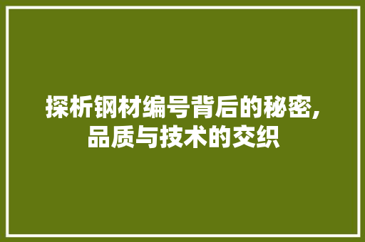 探析钢材编号背后的秘密,品质与技术的交织