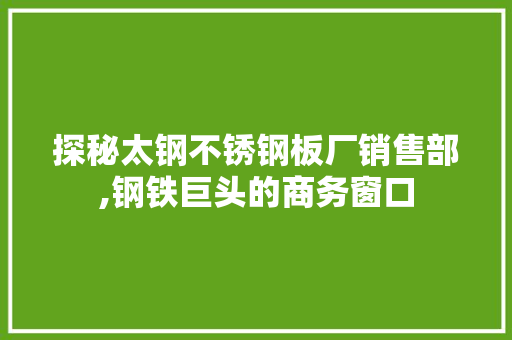 探秘太钢不锈钢板厂销售部,钢铁巨头的商务窗口