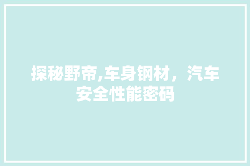 探秘野帝,车身钢材，汽车安全性能密码