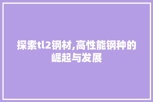 探索tl2钢材,高性能钢种的崛起与发展