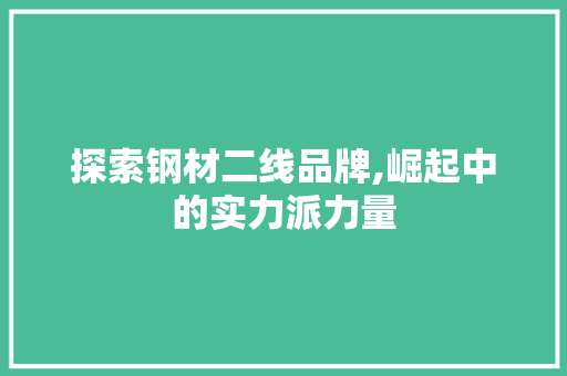 探索钢材二线品牌,崛起中的实力派力量