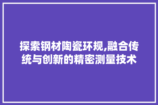 探索钢材陶瓷环规,融合传统与创新的精密测量技术