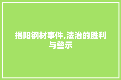 揭阳钢材事件,法治的胜利与警示