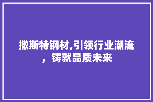 撒斯特钢材,引领行业潮流，铸就品质未来