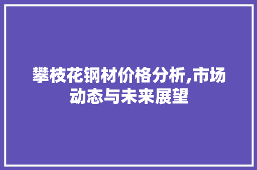 攀枝花钢材价格分析,市场动态与未来展望