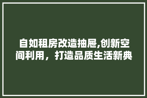 自如租房改造抽屉,创新空间利用，打造品质生活新典范
