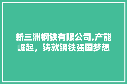 新三洲钢铁有限公司,产能崛起，铸就钢铁强国梦想