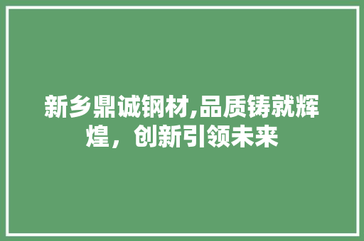 新乡鼎诚钢材,品质铸就辉煌，创新引领未来