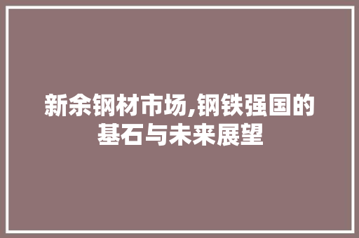 新余钢材市场,钢铁强国的基石与未来展望