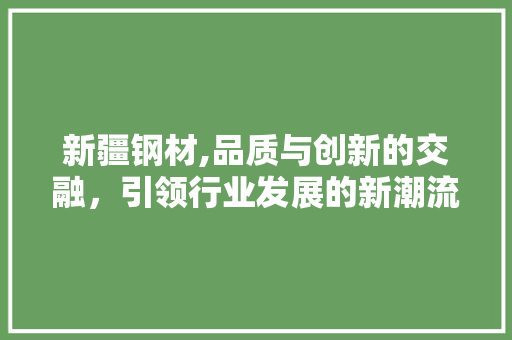 新疆钢材,品质与创新的交融，引领行业发展的新潮流