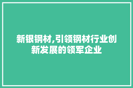 新银钢材,引领钢材行业创新发展的领军企业