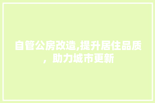 自管公房改造,提升居住品质，助力城市更新