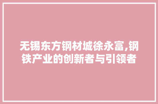 无锡东方钢材城徐永富,钢铁产业的创新者与引领者
