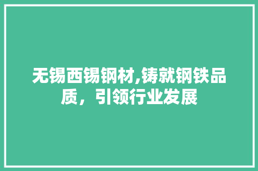 无锡西锡钢材,铸就钢铁品质，引领行业发展