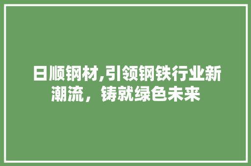 日顺钢材,引领钢铁行业新潮流，铸就绿色未来