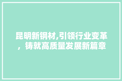 昆明新钢材,引领行业变革，铸就高质量发展新篇章
