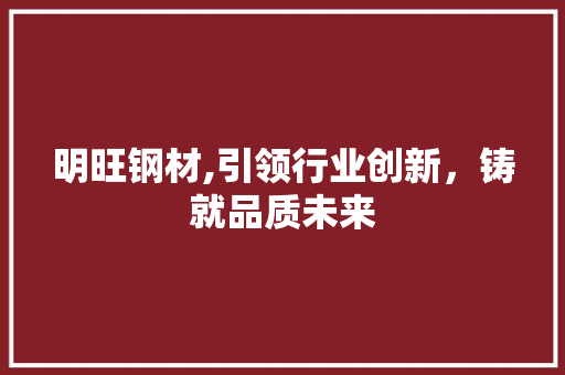 明旺钢材,引领行业创新，铸就品质未来