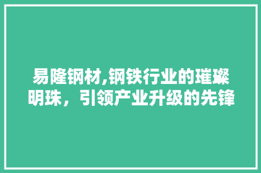 易隆钢材,钢铁行业的璀璨明珠，引领产业升级的先锋力量