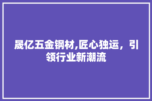 晟亿五金钢材,匠心独运，引领行业新潮流