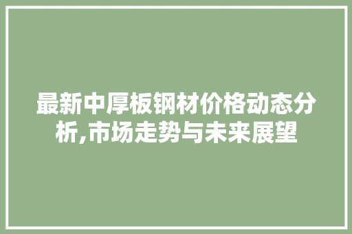 最新中厚板钢材价格动态分析,市场走势与未来展望