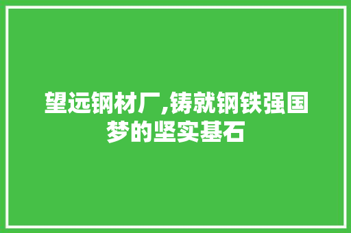 望远钢材厂,铸就钢铁强国梦的坚实基石