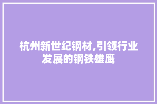 杭州新世纪钢材,引领行业发展的钢铁雄鹰