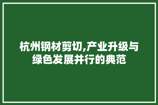 杭州钢材剪切,产业升级与绿色发展并行的典范