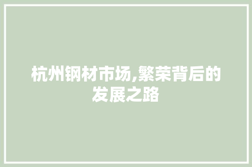 杭州钢材市场,繁荣背后的发展之路