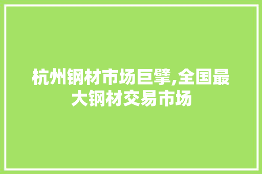 杭州钢材市场巨擘,全国最大钢材交易市场