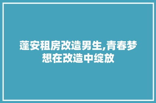 蓬安租房改造男生,青春梦想在改造中绽放