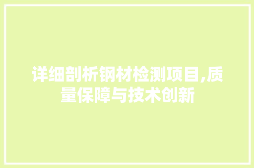 详细剖析钢材检测项目,质量保障与技术创新