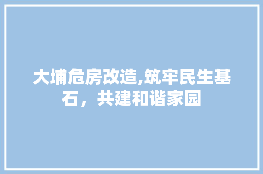 大埔危房改造,筑牢民生基石，共建和谐家园