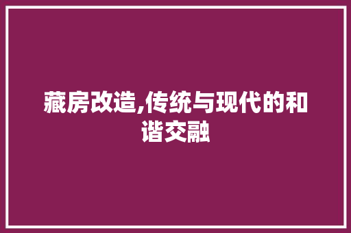 藏房改造,传统与现代的和谐交融