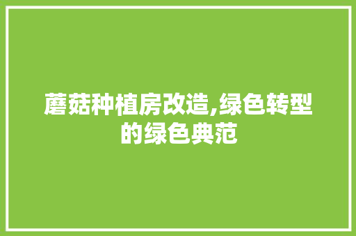 蘑菇种植房改造,绿色转型的绿色典范