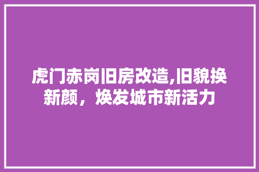 虎门赤岗旧房改造,旧貌换新颜，焕发城市新活力