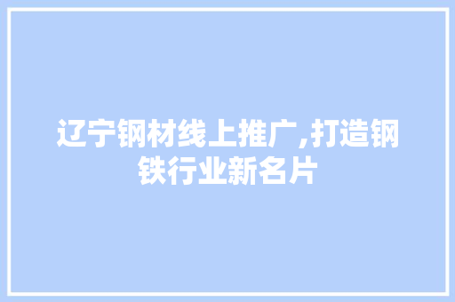 辽宁钢材线上推广,打造钢铁行业新名片