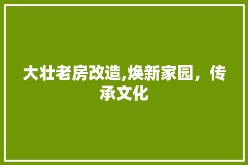 大壮老房改造,焕新家园，传承文化