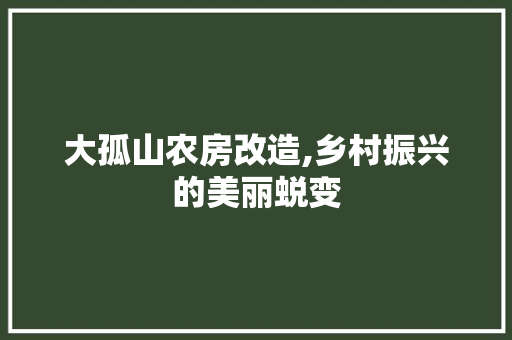 大孤山农房改造,乡村振兴的美丽蜕变