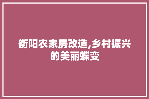 衡阳农家房改造,乡村振兴的美丽蝶变