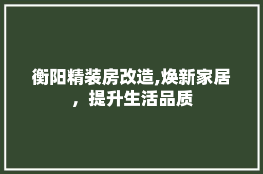 衡阳精装房改造,焕新家居，提升生活品质