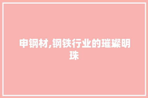 申钢材,钢铁行业的璀璨明珠