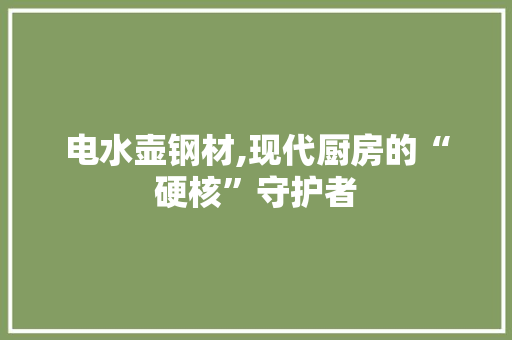 电水壶钢材,现代厨房的“硬核”守护者