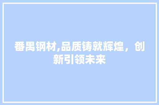 番禺钢材,品质铸就辉煌，创新引领未来