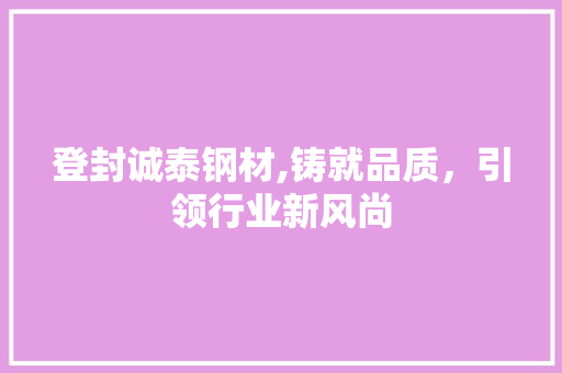 登封诚泰钢材,铸就品质，引领行业新风尚