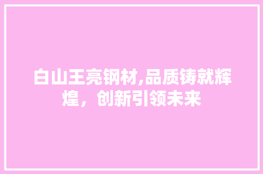 白山王亮钢材,品质铸就辉煌，创新引领未来