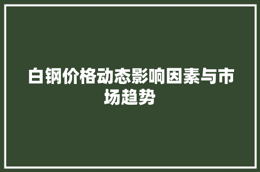 白钢价格动态影响因素与市场趋势