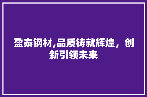 盈泰钢材,品质铸就辉煌，创新引领未来