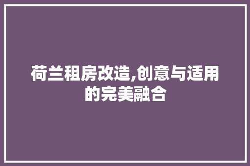 荷兰租房改造,创意与适用的完美融合